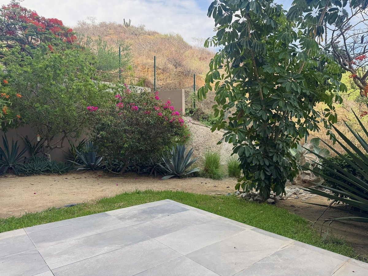 Terraza y jardín — Ladera 404